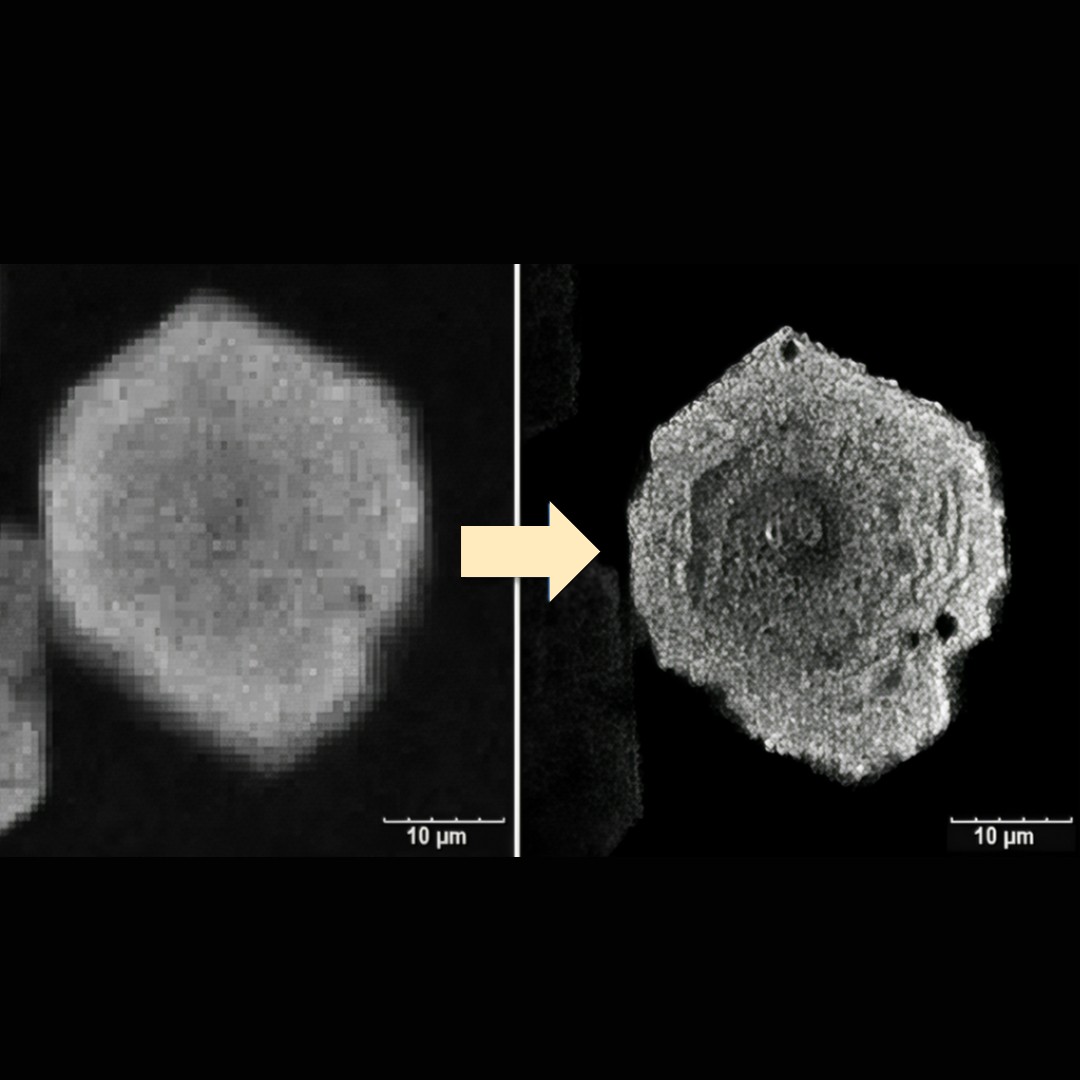 Innovaciones en Tecnologías de Imagen para Patología Anatómica