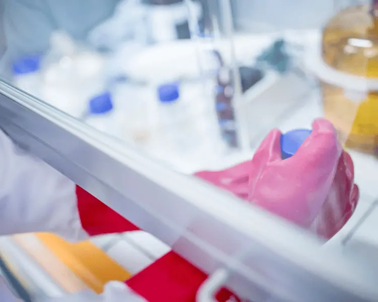 campana_de_flujo_laminar_laboratorio_chile_zebragenetics
